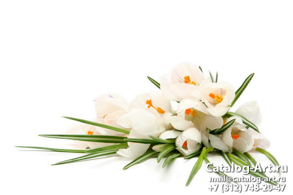 White flowers 8